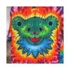 Rainbow Bear Full Spectrum Tie-Dye Wall Art Canvas Print | JamminOn