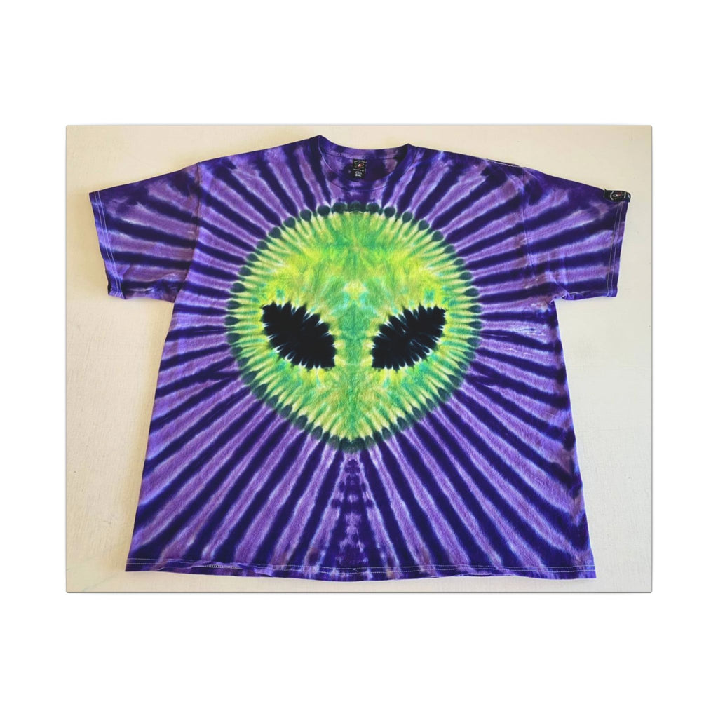 Alien Starburst Tie-Dye Wall Art Canvas Print | JamminOn