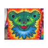 Rainbow Bear Full Spectrum Tie-Dye Wall Art Canvas Print | JamminOn