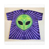 Alien Starburst Tie-Dye Wall Art Canvas Print | JamminOn