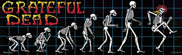 Grateful Skeleton Evolution Sticker - 9.5" x 3"